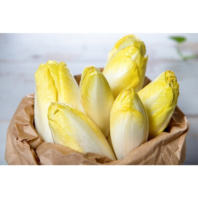 Endives bio