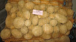 Pommes de terre bio en filet