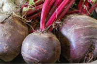 Betterave cru