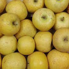 Pomme chanteclerc 3kg