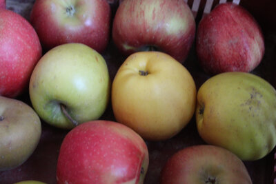 Pommes