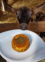 Fromage de chèvre frais arômatisé indien