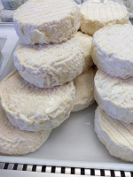 Gros affiné  chèvre style mothais