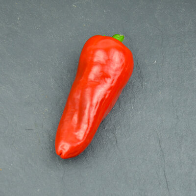 Piment basque