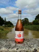 Jus de pomme artisanal qui pétille