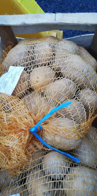 Pommes de terre marabel