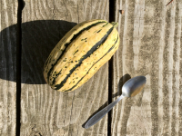 Courge délicata