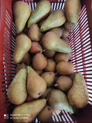 Poire