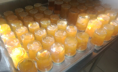 Confiture de gigérine
