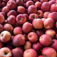 Pomme  fuji vrac 5kg 'bon marché'
