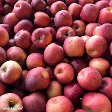 Pomme  fuji vrac 5kg 'bon marché'