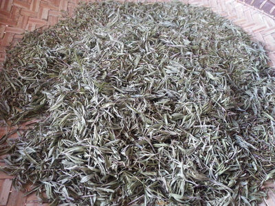 Sarriette (satureja)