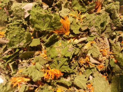 Infusion bien-etre(hivernale,digestive,detox