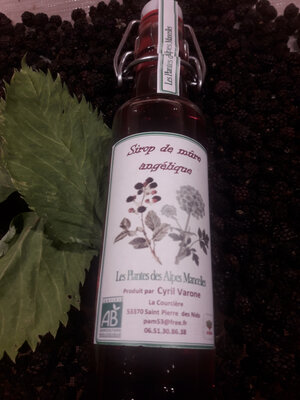 Sirop de mûres sauvages et angélique