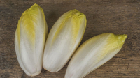 Endives