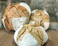 Pain p'tit barbon 500g