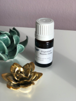 Digestion  - repas festif