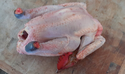Poulet fermier prêt à cuire