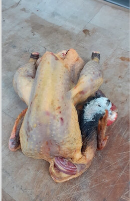 Pintade prêt à cuire