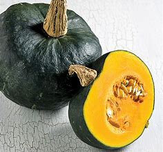 Courge shiatsu