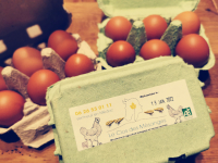 Oeufs  bio 'extra frais'