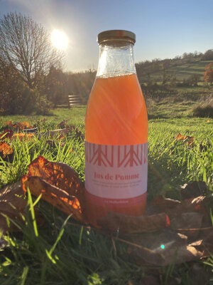 Jus de pommes filtré - bouteille 1 litre