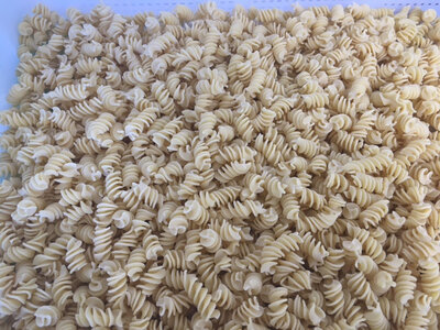 Fusilli frais aux oeufs