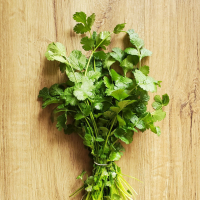 Coriandre en bouquet