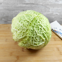 Choux vert frisé bio