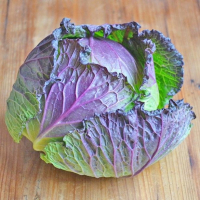 Choux de pontoise bio