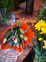 Bouquet de tulipes