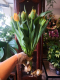 Bouquet de tulipes - image 2