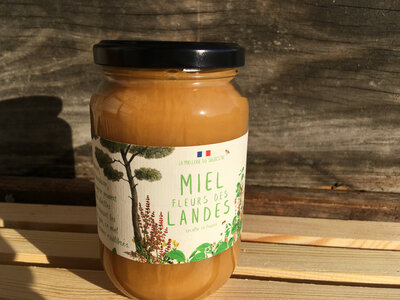 Miel de fleurs des landes