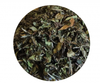 Thé blanc china pai mu tan bio