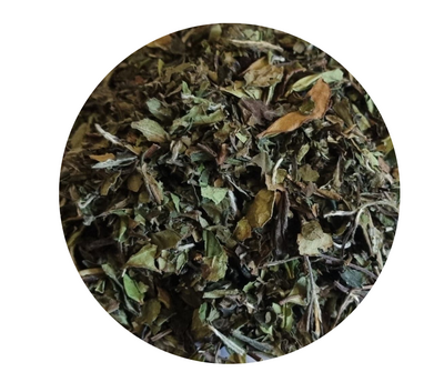 Thé blanc china pai mu tan bio
