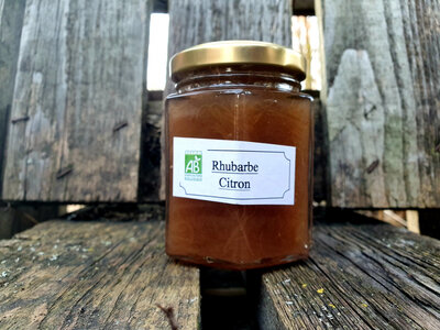 Confiture rhubarbe / citron bio