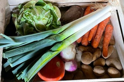 Panier de légumes