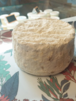 Tomette fermière de brebis