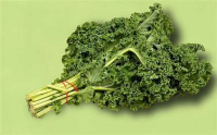 Chou kale