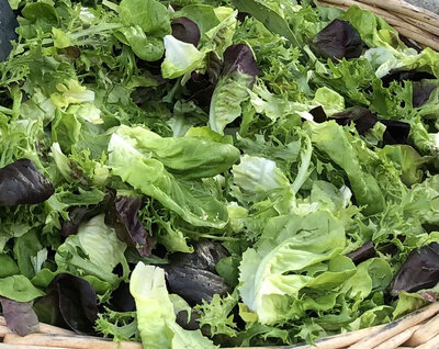 Mélange de salades