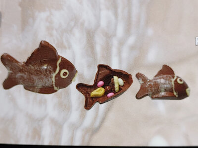 Petit poisson 95g