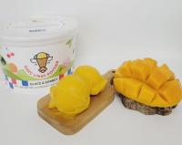 Sorbet mangue 800 gr