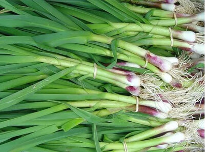 Aillet - bouquet