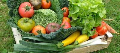 Panier de légumes bio de saison