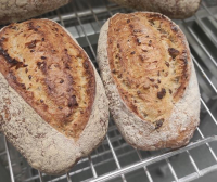 Noix figues abricots