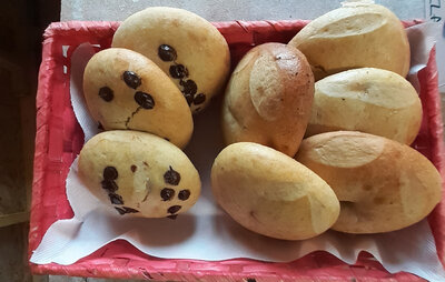 Pogne ou pogne chocolat