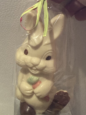 Lapin blanc