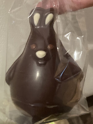 Lapin noir