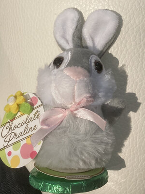 Chocolat + peluche-[COPIE A MODIFIER]