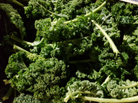 Chou kale